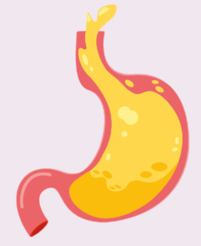 식도염의 치료법