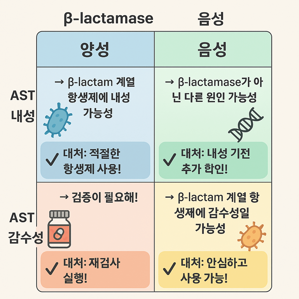 β-lactamase 검사와 AST 결과를 비교