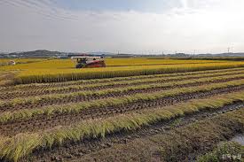 농지은행 농지 임대수탁 신청방법