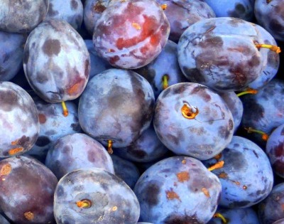 푸룬 건자두 효능 부작용