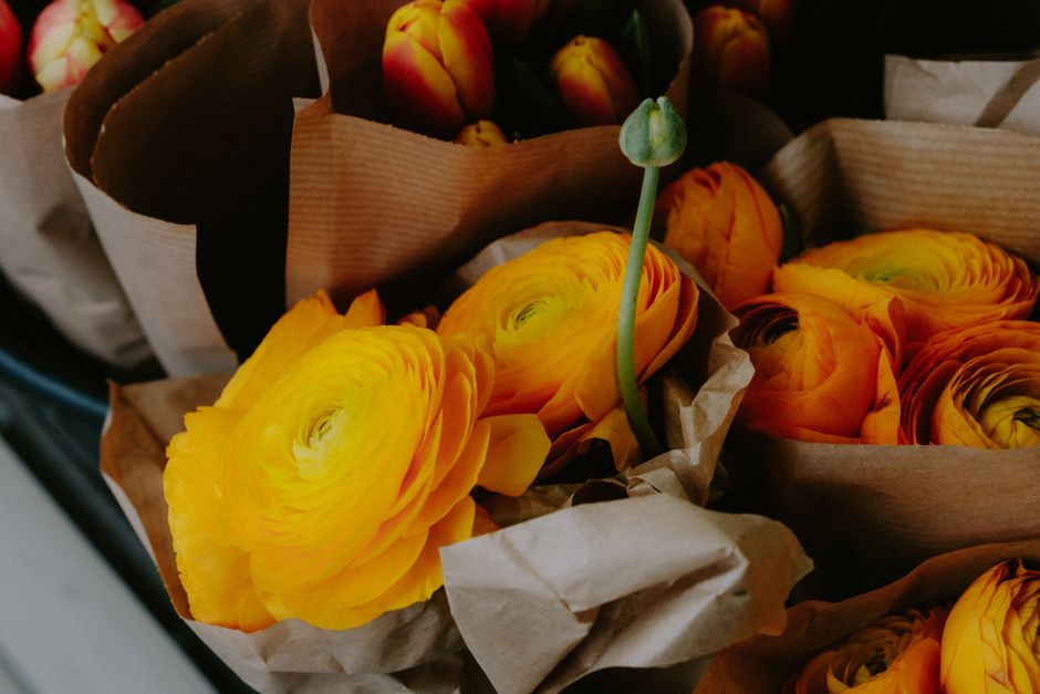 Bunches of bright yellow ranunculus beautifully wrapped in brown paper, perfect for gift giving or home decor.