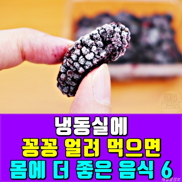 얼리면 좋은 음식, 얼려 먹으면 좋은 음식,건강 팁줌 매일꿀정보