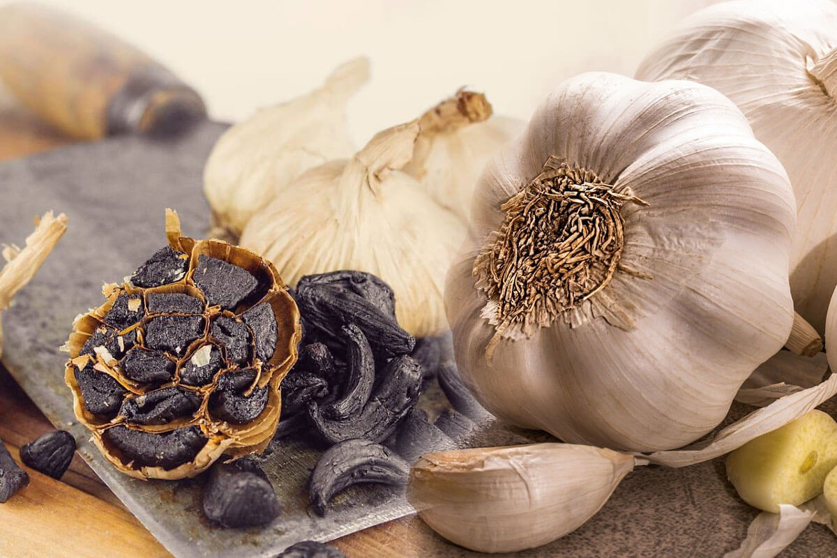 “흑마늘-만드는방법”