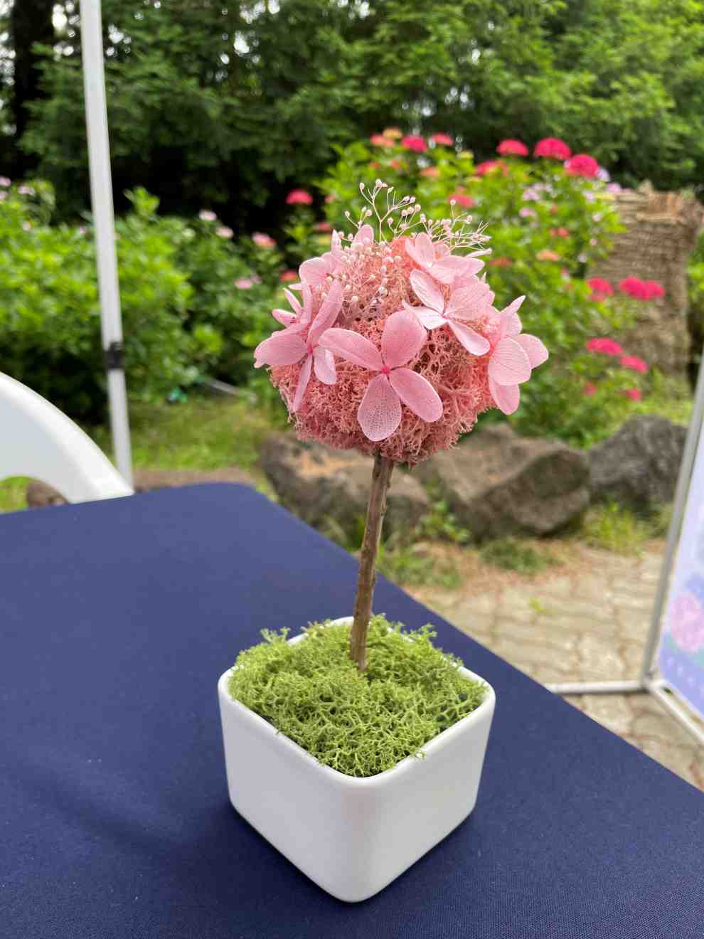 제주 한림공원 수국축제