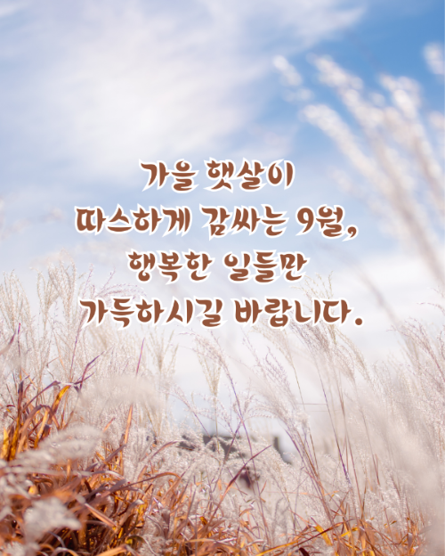 가을 햇살이