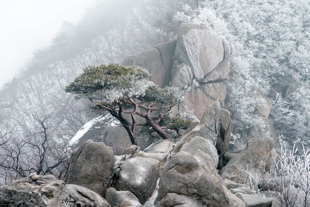 Bukhansan