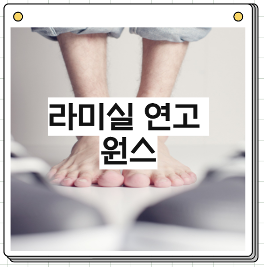 라미실 연고 원스