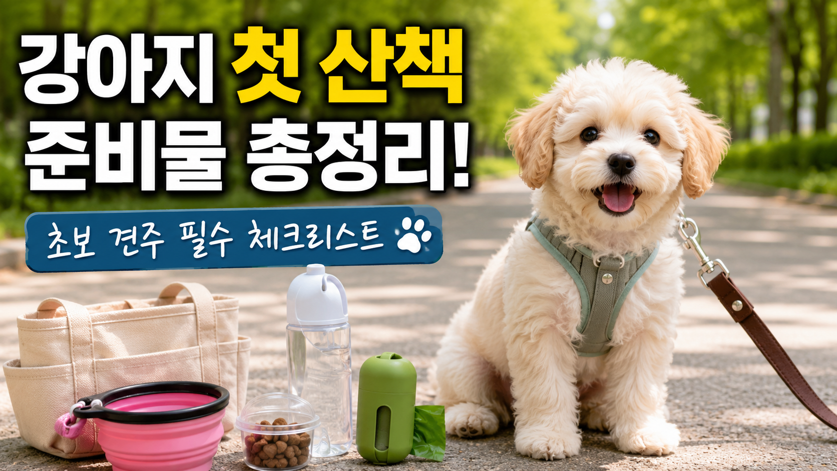 강아지 첫 산책 준비물 총정리