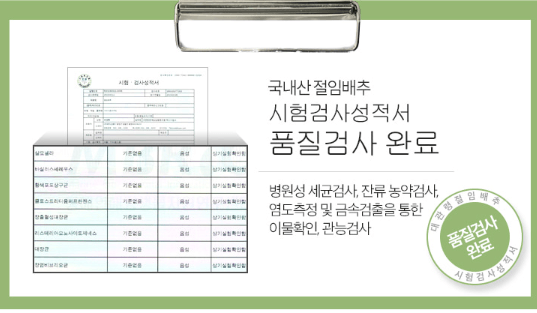 절임배추 20kg 가격 비교