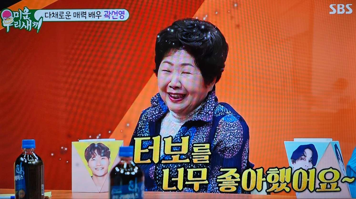 곽선영 프로필