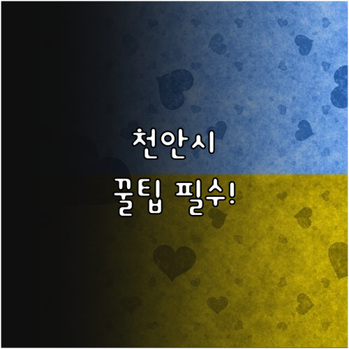 2025년 당신을 위한 천안시 취약계..