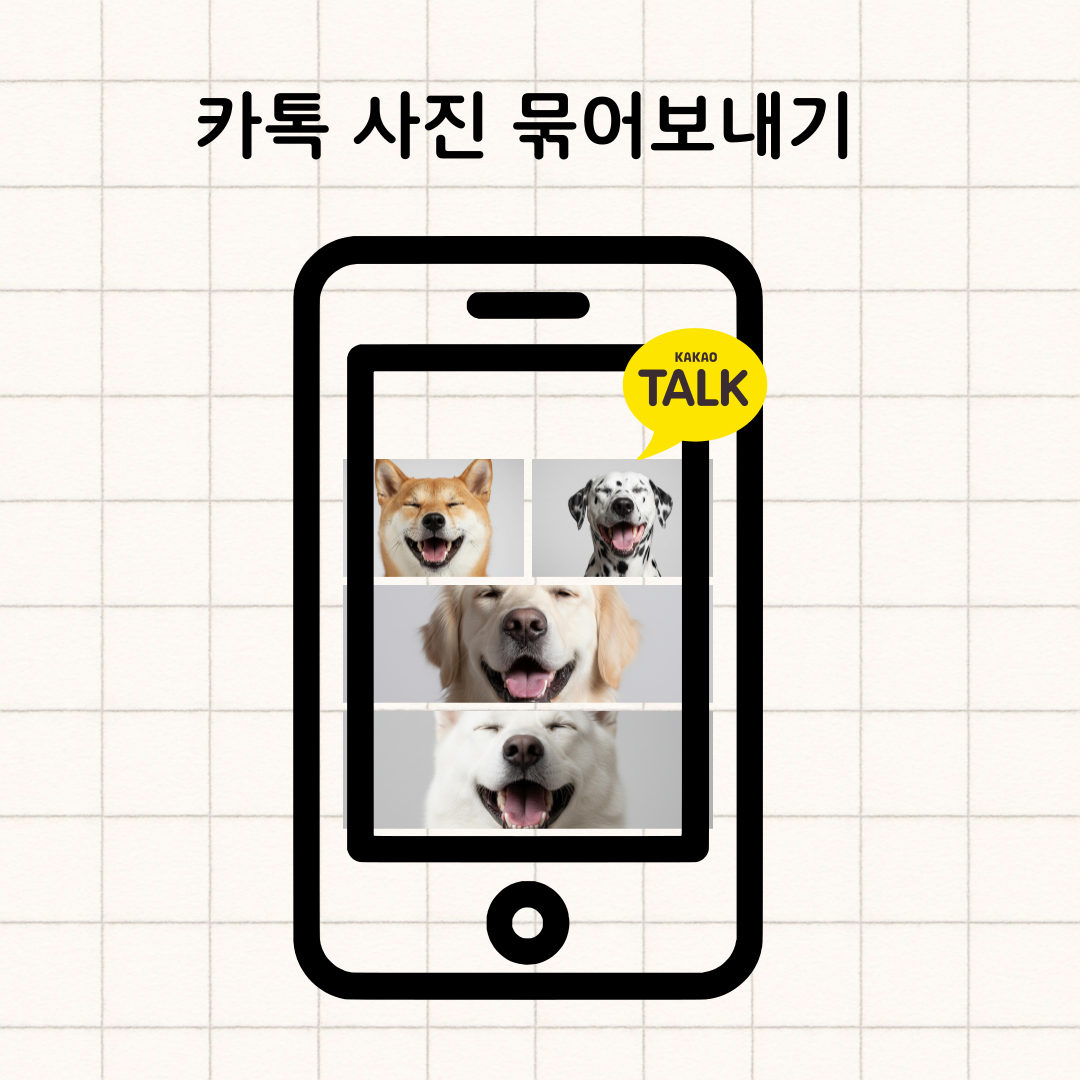 사진 묶어보내기