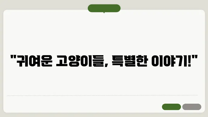 샴 고양이