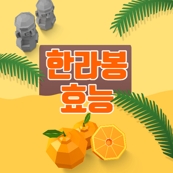 한라봉 효능│한라봉 효능 알고 드세요!