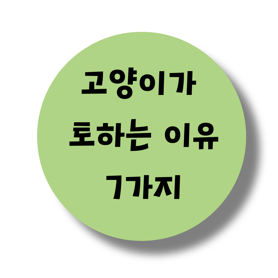 고양이가 토하는 이유 7가지. 우리집 고양이가 구토를 자주 해요.
