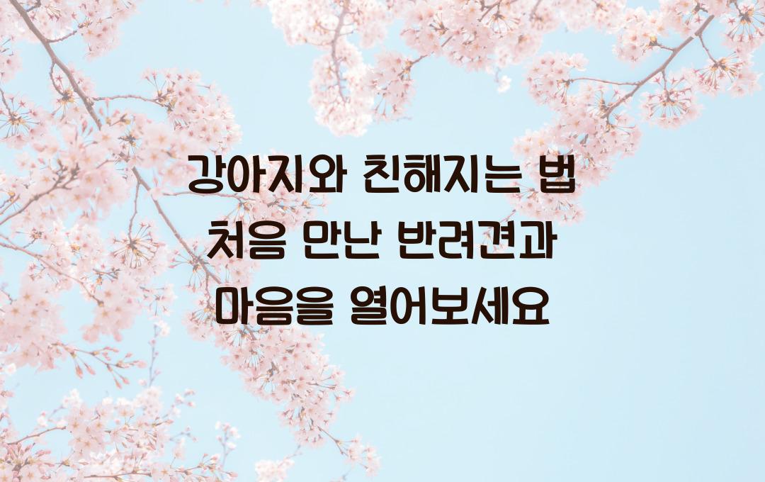 강아지와 친해지는 법! 처음 만난 반려견과 교감하는 방법