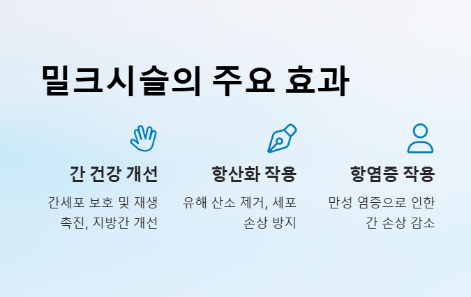 밀크시슬 주요효과