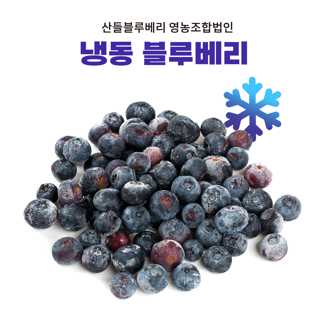 생생정보 2314회 수확의 달인 고성 블루베리 산들블루베리 주문방법