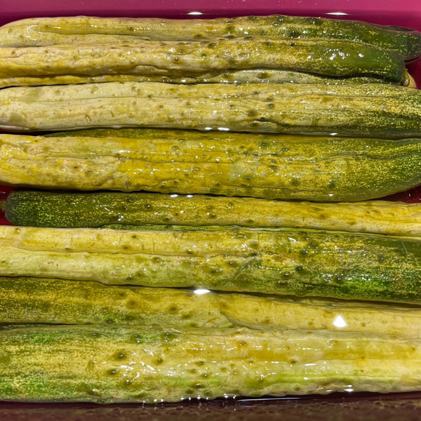 오이지 물없이담그는방법 레시피