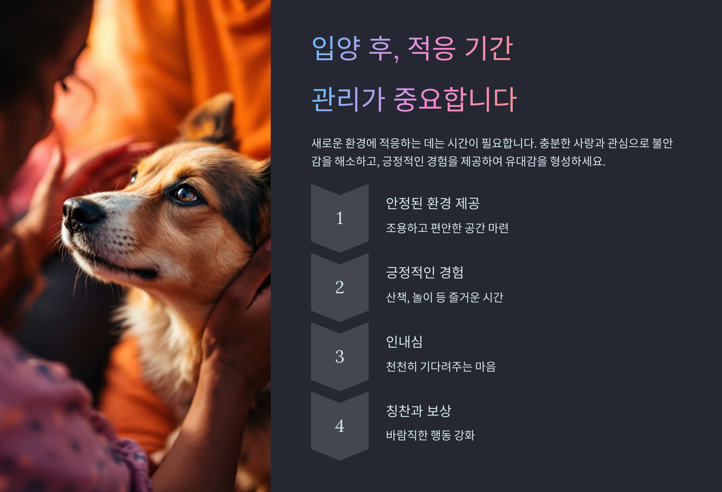 유기동물 입양 절차