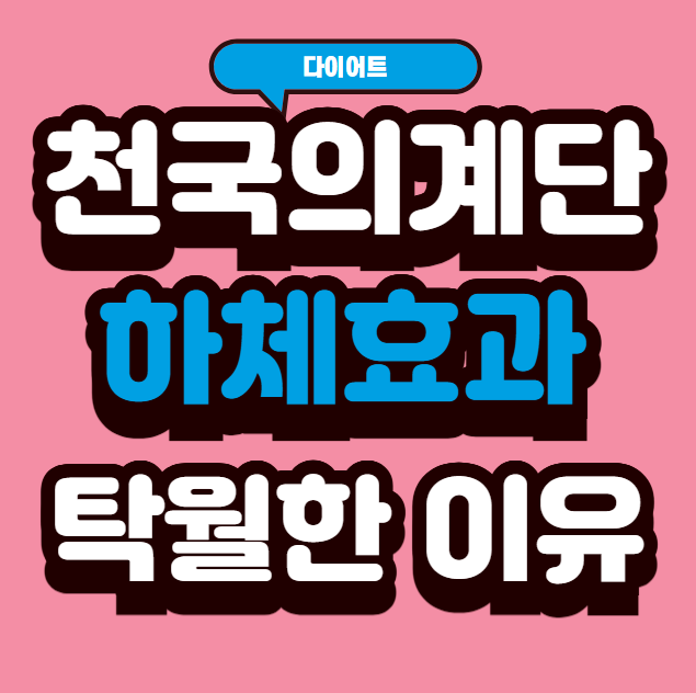 천국의 계단이 하체 군살 제거에 탁월한 이유