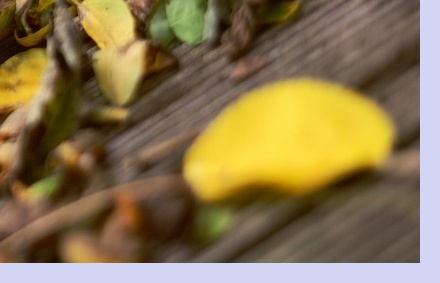 대상포진 치료방법