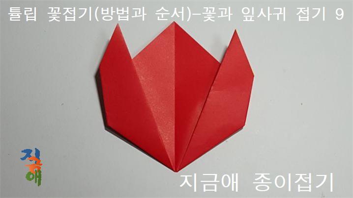 꽃잎의 끝이 세 개의 모서리로 만들어졌습니다.