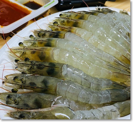 9월-제철회