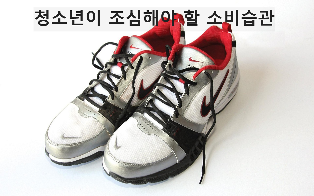 신발 사진