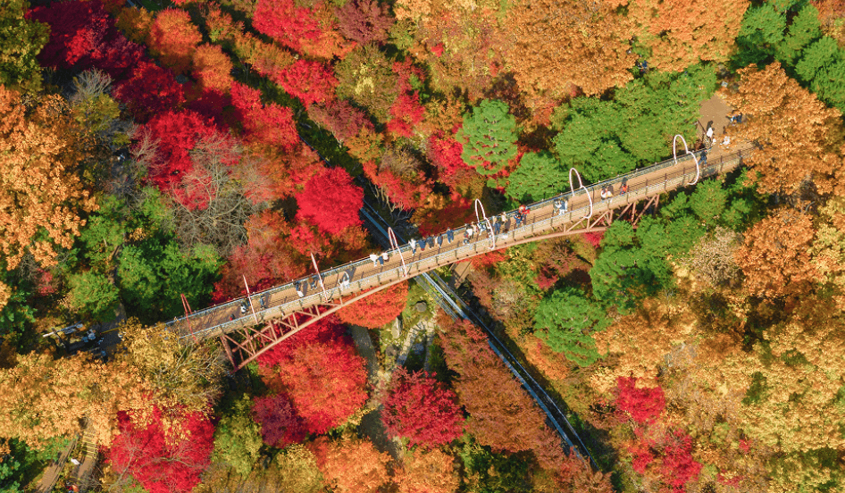 곤지암 화담숲 예약방법