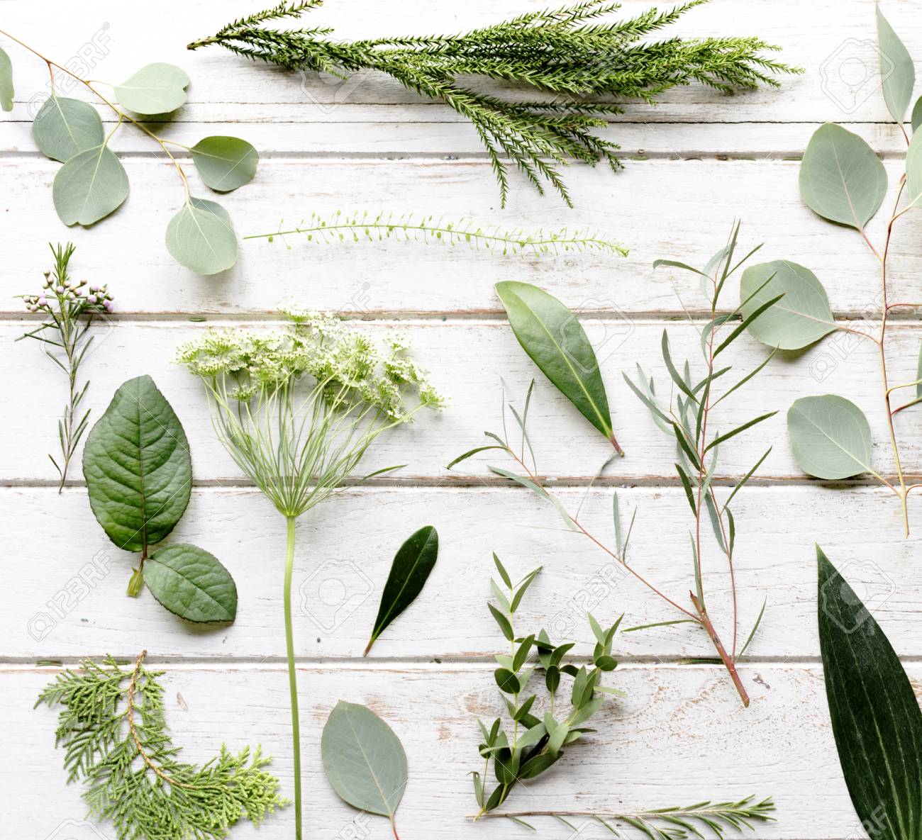 향긋한 봄나물 들