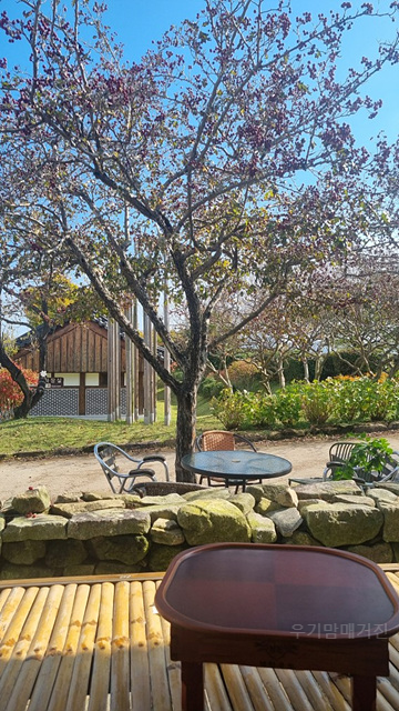 24년 순천만국가정원 동문 카페 음료가격 편의시설 식물원 동물원