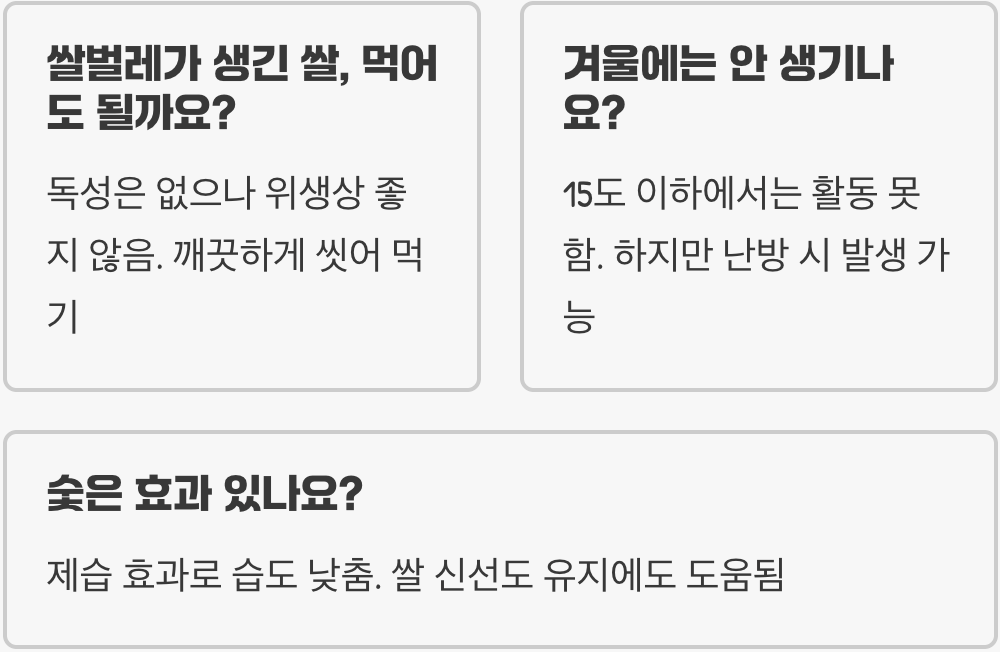 쌀벌레 완벽 종합 가이드 – 발생 원인, 퇴치법, 예방까지 한눈에