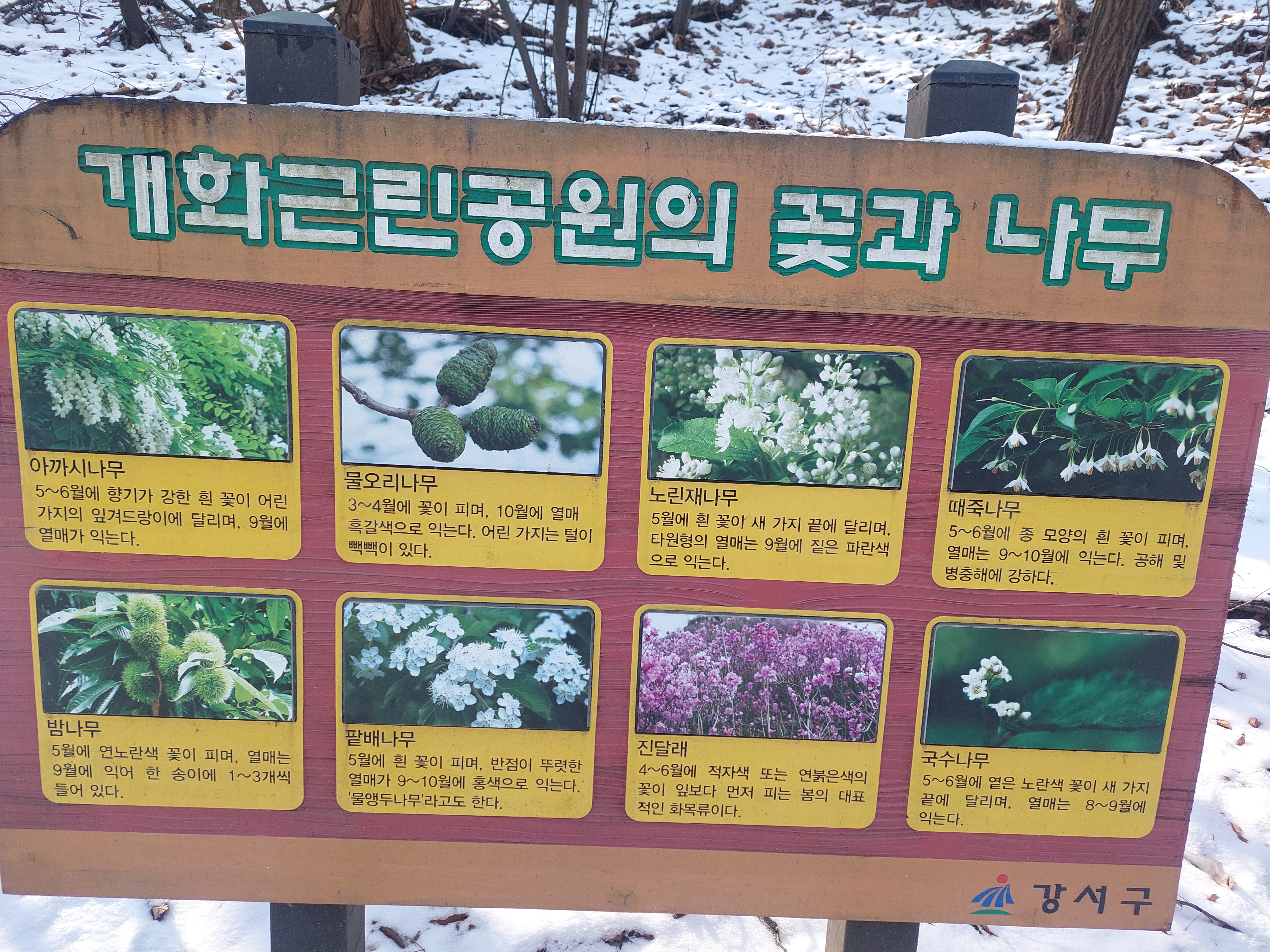 개화산