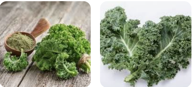 [뉴질랜드 슈퍼푸드] 유기농 컬리케일 씨앗부터 분말, 쥬스까지! 가격 재배 성분 효능·재배법·요리 레시피 먹는법 총정리(40대 50대 60대 건강,부작용 혈당 항암 주의할점)