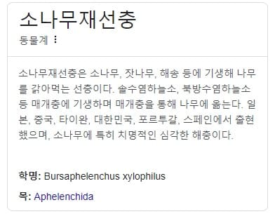 소나무재선충이란?