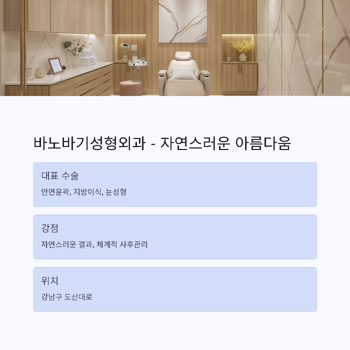 2. 바노바기성형외과