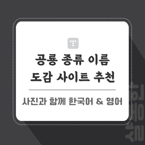 공룡-관련-포스팅-썸네일