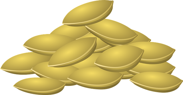 바지락-해감하는원리