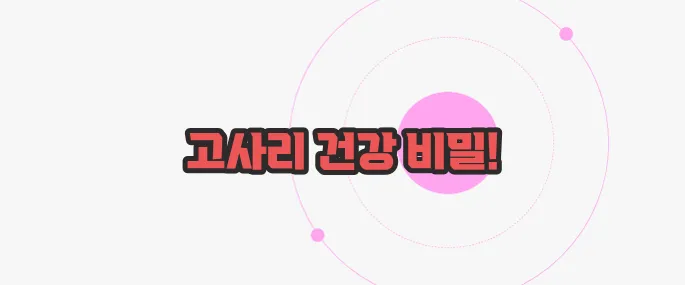 고사리 효능 이제 본격적으로 알아볼까요
