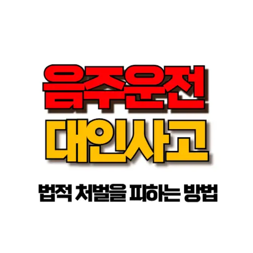음주운전 대인사고 썸네일
