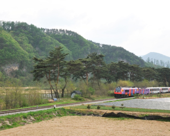 정선 가볼만한곳 베스트10 아리랑열차