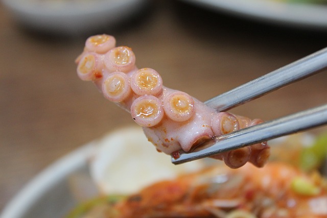 octopus