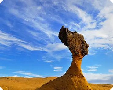 대만 여행지원금 신청방법 대만관광청 홈페이지