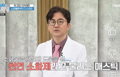 천연소화제-매스틱유산균