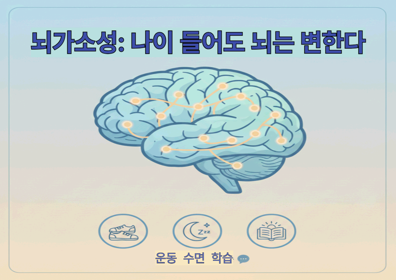 뇌가소성: 나이 들어도 뇌는 변한다 - 경도인지장애(MCI) 이후, 우리가 '지금' 할 수 있는 가장 현실적인 희망