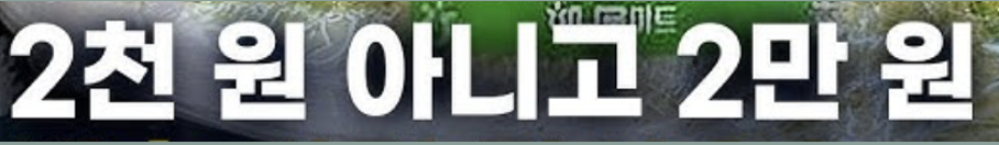 배추 가격 급상승 원인 2024년 배추 대란 대비 방법