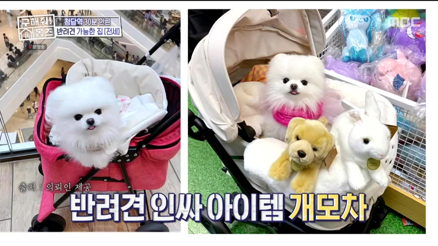 구해줘홈즈 불암산 더 뷰이즈 동물병원 인접 남양주 별내 전세 매매 매물 가격 및 구조 인테리어 리모델링 최종선택 더보이즈 영훈 현재 소개
