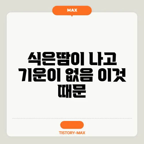 식은땀이 나고 기운이 없음 이것 때문