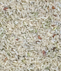 현미 효능과 부작용 영양성분 칼로리 다이어트